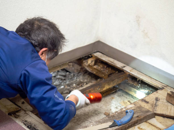 Best Commercial Mold Removal  in Redmond, OR