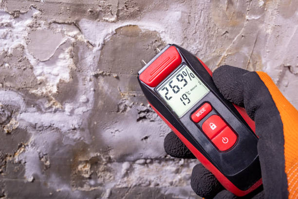 Best Affordable Mold Removal  in Redmond, OR