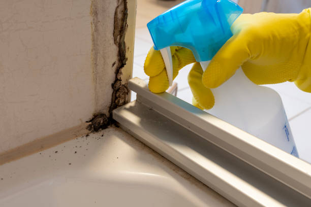 Best Residential Mold Removal  in Redmond, OR