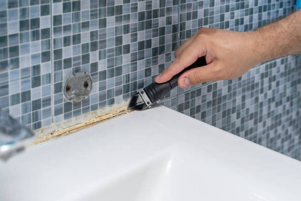 Best Same-Day Mold Removal  in Redmond, OR