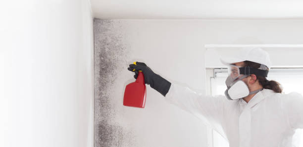 Best Mold Damage Repair  in Redmond, OR