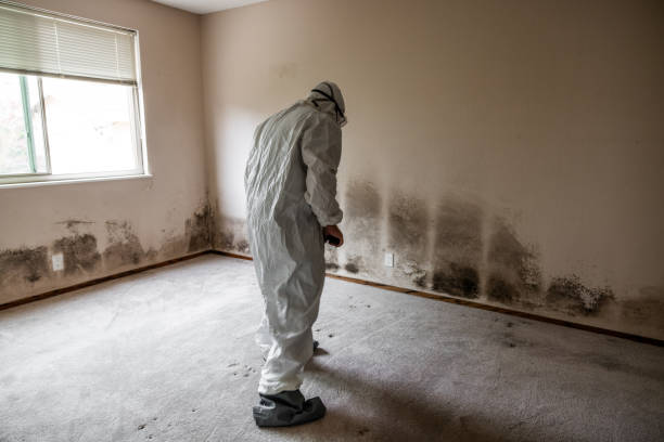 Water Damage Restoration in Redmond, OR